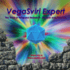 VegaSviri Expert